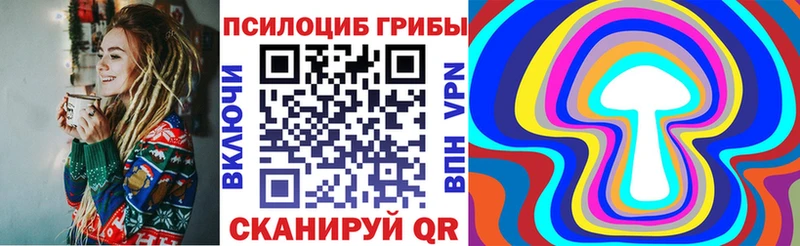 купить   Верхняя Тура  Псилоцибиновые грибы GOLDEN TEACHER 